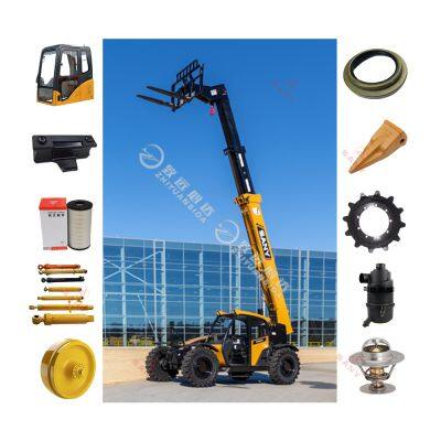 Genuine & OEM Spare Parts Supplier SANY Telehandler Parts for SANY Material Handling Equipment Fast Shipping
