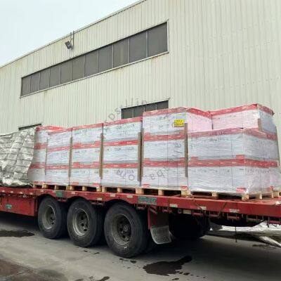 OEM SANY One-Way Check Valve 60205580 for SY135 SY215 Excavators | Genuine Hydraulic System Spare Parts photo-6