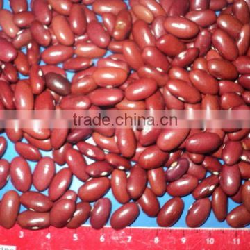 Red kidney beans