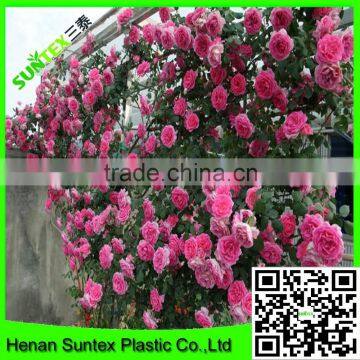 SUPER TRELLIS All New Garden Plant Support Scrog Ponics Pond Safety Grid Netting