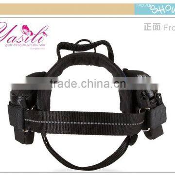 2015 New Dog Backpack, Backpack for Dog, Waterproof Fabric photo-2