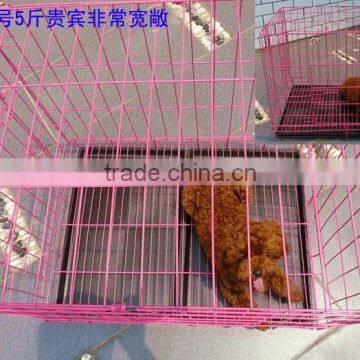 Pet Display Cage