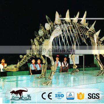 OA-DS-S2810 Dinosaur Skeleton Model For Sale