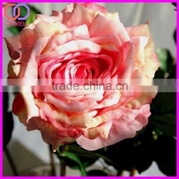 Manufacturers' Direct Sales Artificial Rose Very Cheap photo-3