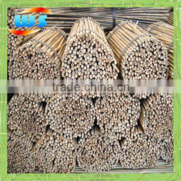 Short bamboo poles