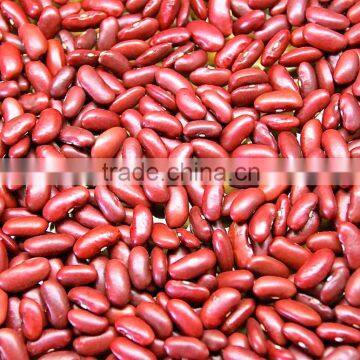 Kidney Beans