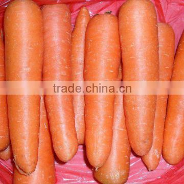 Long-term supply IQF carrot