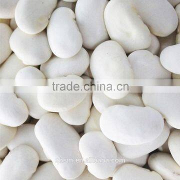 bulk kidney beans, white kidney beans, beans suppliers