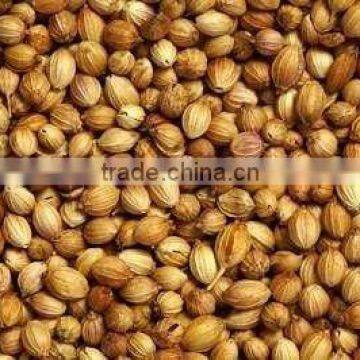 Organic Coriander Seed