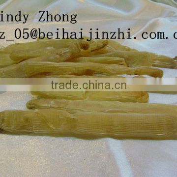 Top Quality Dried Sipunculus nudus seafood Sea Worms