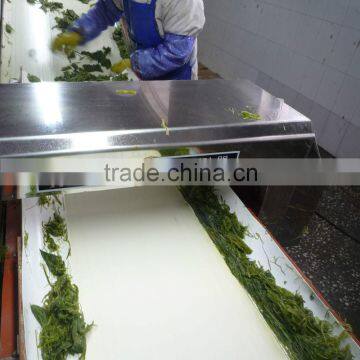 Frozen Wakame Stem Cut Salted photo-3