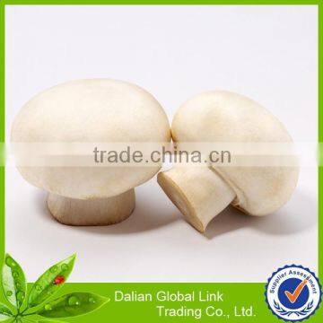 Fresh Champion Mushrooms in Can photo-6