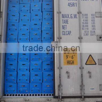 Fresh Air Dry Ginger photo-6