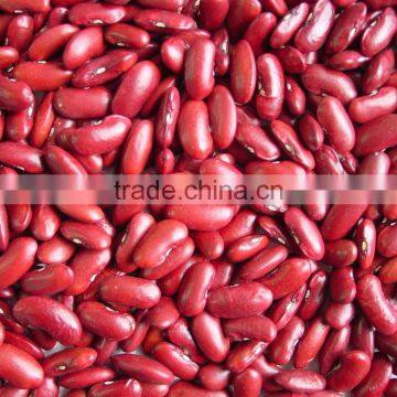 Cannned Red Kidney Beans White Kidney Bean Chinese Kidney Beans photo-3