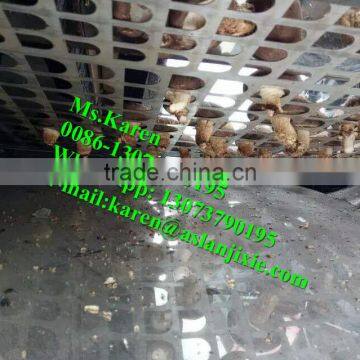 Mushroom leg and cap separating machine / Mushroom stem removing machine / Mushroom stem removal machine