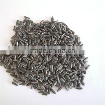 2015 New Crop Sunflower seeds for oil Extraction