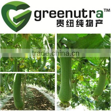 Luffa Sponge Fruit Extract