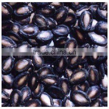 black watermelon seeds