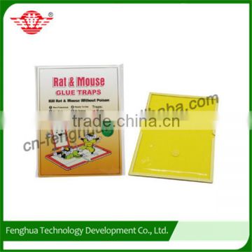 Customized logo printing rat glue traps