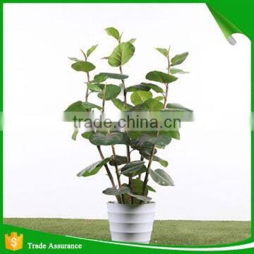 Artificial Green Ornamental Plant Indoor and Outdoor photo-4