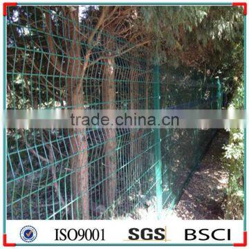 Wrought Iron Fencing for Sale Green Wall System Wire Fence photo-3