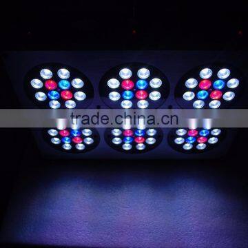 High Quality Apollo Cob 6 Led Grow Light for Grow Plant photo-4