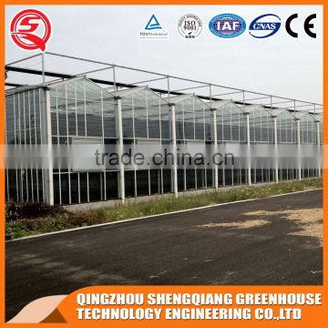 China direct Multifunction Venlo greenhouse for plant flowers