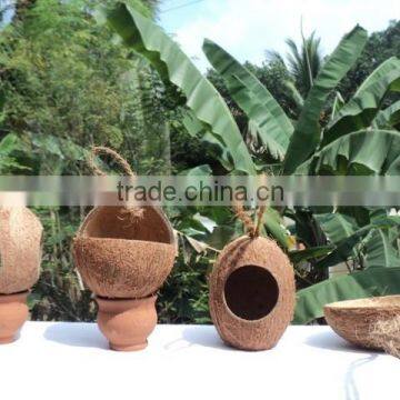 Coconut shell Bird Feeder