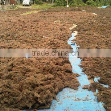 Sell Gracilaria, Eucheuma Spinosum And Eucheuma Cottoni Seaweeds