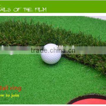 Golf Artificial Grass for Office Entertaining photo-2