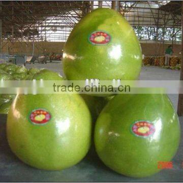 Pof Food Wrap Film photo-2