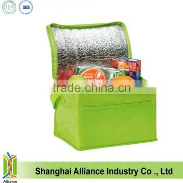 US Market Promotion Insulated Cooler Bag, Thermal Lunch Cooler Bag, Picnic Cooler Bag