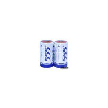 Ni-MH Rechargeable Battery (Size D)