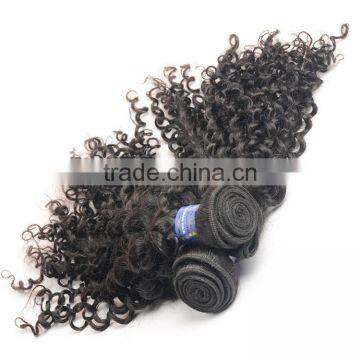 Sy Curly Human Braiding Hair, Different Types Of Curly Weave Hair photo-3