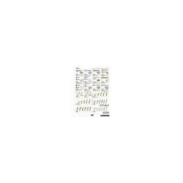 P437 Screws