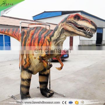 Customized Trade Assurance adult dinosaur suit costume from Zigong famous manufacturer