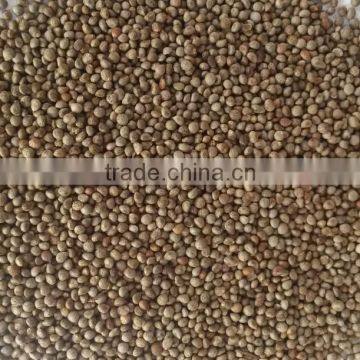 organic perilla seeds