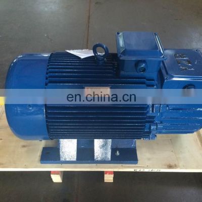 wound rotor type 100kw induction motor crane motor