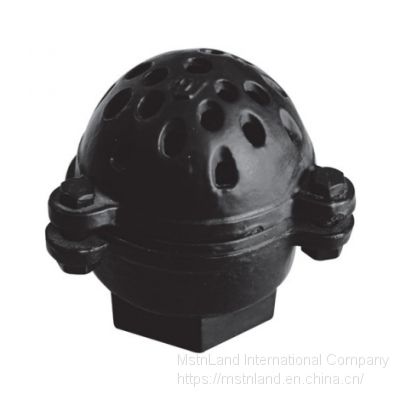 Mstnland INTERNAL THREAD LIFT BOTTOM CHECK VALVE