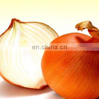 Frozen yellow onion red type also  on sale