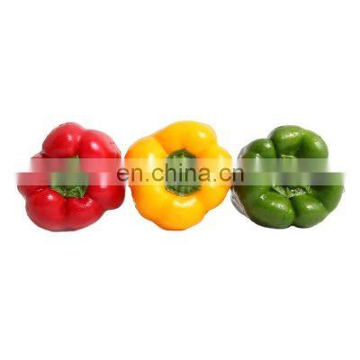 healthy vegetable rich in vitamin frozen bell pepper with good quality and moderate price in China