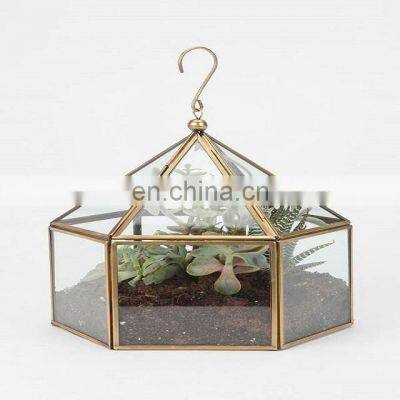 glass fancy terrarium