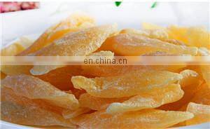 Raisin Processing Equipment/fruit Processing Equipment photo-5