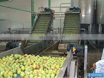 Industrial Fruit Belt Filter Press Machine Belt Type Squeezing Fruit Juice Extraction Machine photo-5