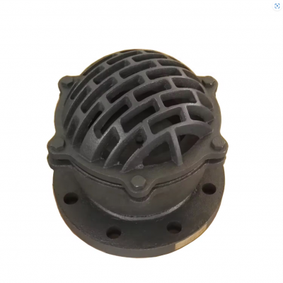 BS/DIN DN100 PN16 Cast Iron/Ductile Iron GG25 GGG50 Foot Valve Flange/Thread Foot Valve Factory photo-3