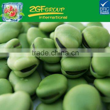 IQF Frozen Green Broad Beans photo-2
