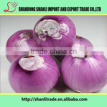 Nutritious Vegetable ,fresh Red Onion,long Shelf Time photo-6