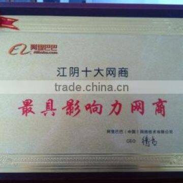 The most advanced E-businessman