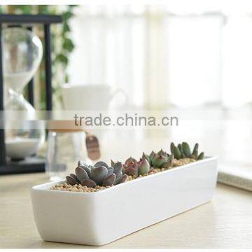 2016 Hot-sell Wholesale Price Artificial Tropical Mini Succulent Plant Pot Porcelain Flower Pot in Garden photo-3