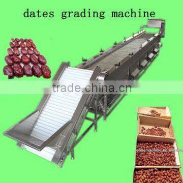 dates sorter/date grading machine/fruit grading machine/potato sorter